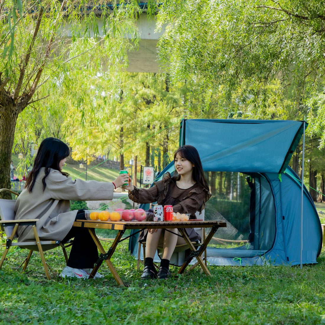 Outdoor Supplies Single Layer Automatic Tent