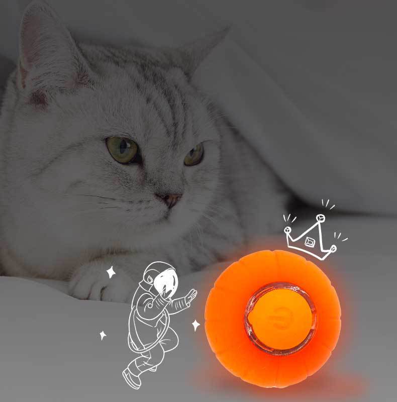 Smart Rolling Bite-Resistant Cat Toy Ball
