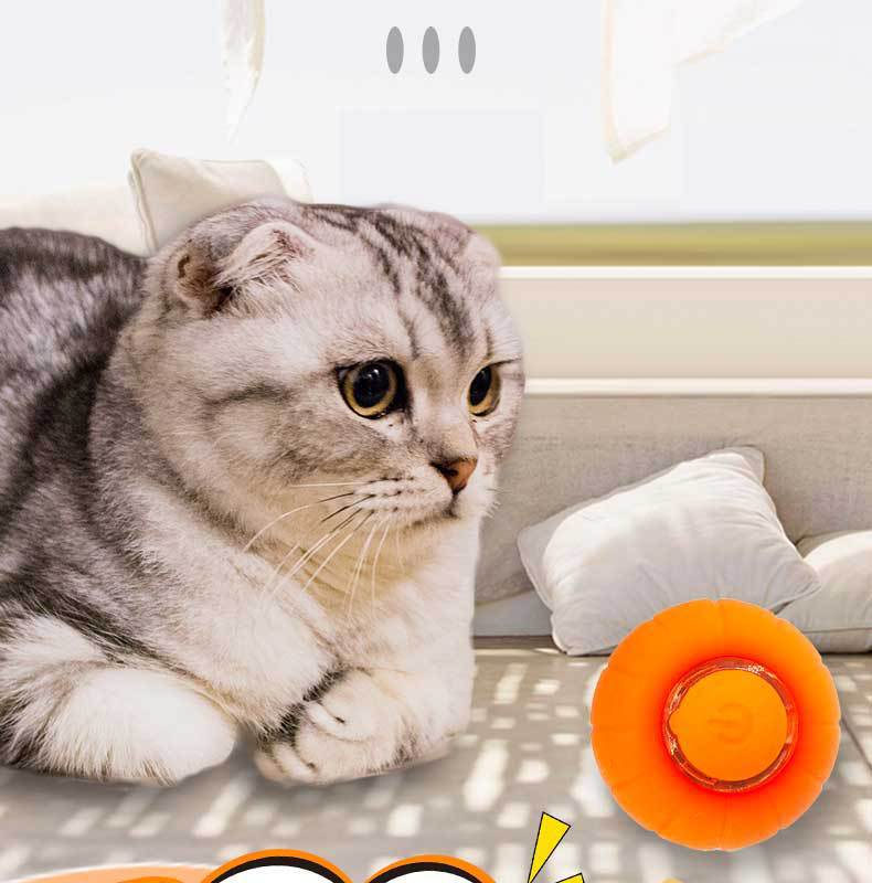 Smart Rolling Bite-Resistant Cat Toy Ball